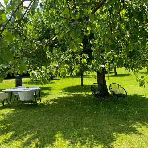 Garten zum Entspannen FA'Psychologie
